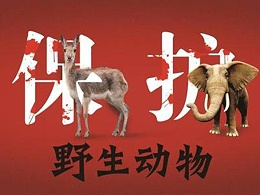公益广告 （灯布）