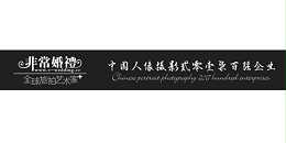 震鑫合作客户-非常婚礼