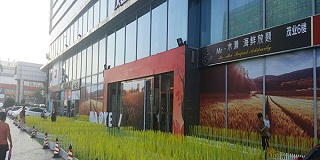写真喷绘室外背胶