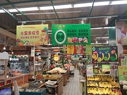 背胶裱板